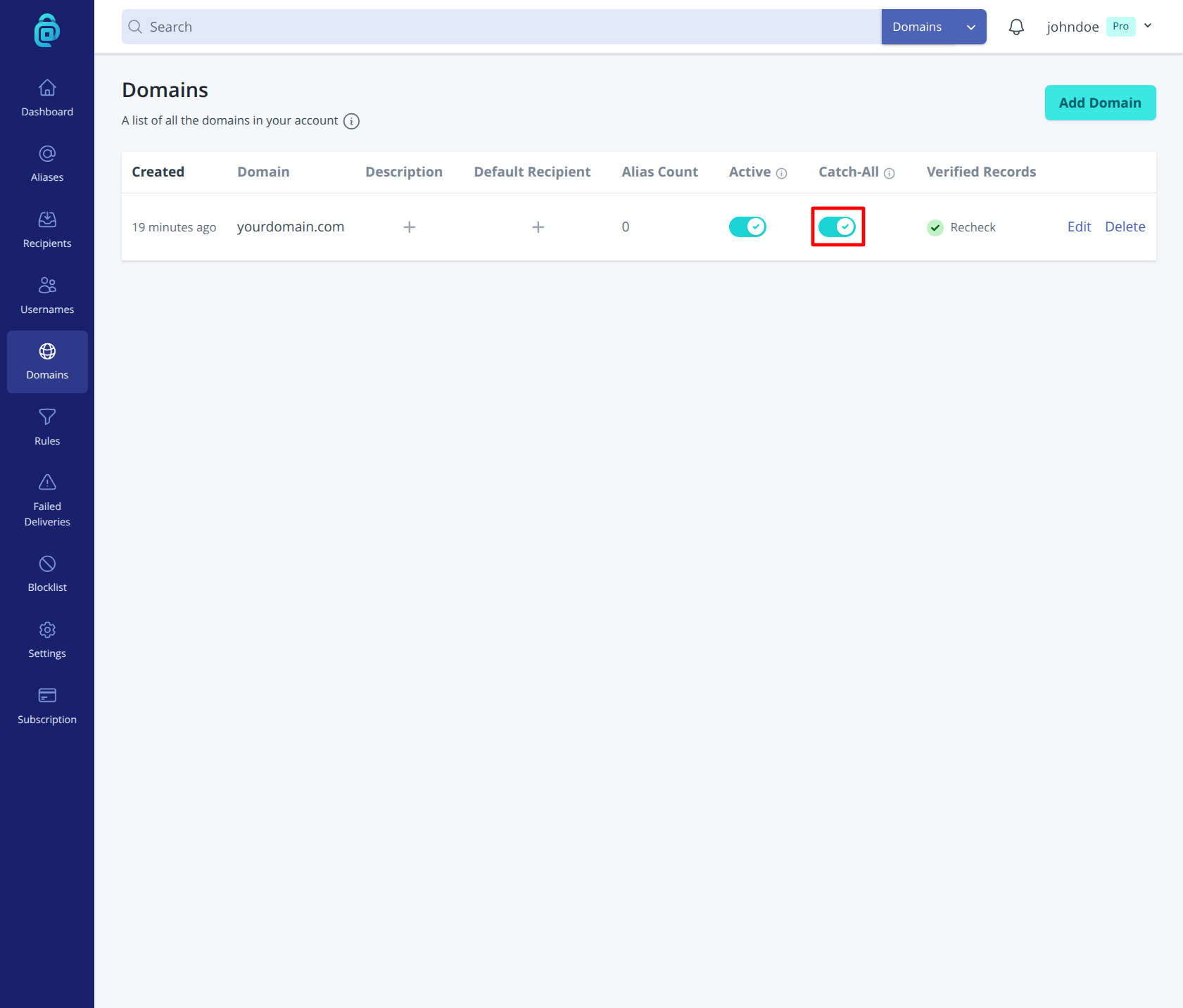 Catch-all for a domain in addy.io